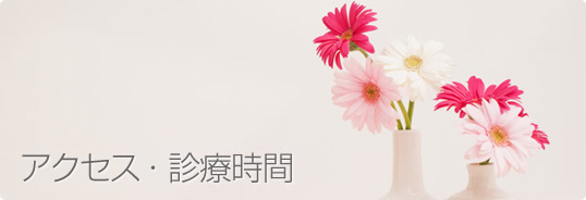 アクセス・診療時間