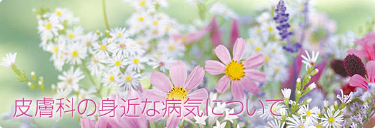 皮膚科の身近な病気について